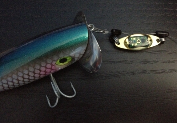 Fish360 esca