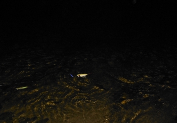 Fish360 esca