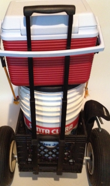 Fish360 BUV” (“Beach Utility Vehicle”)