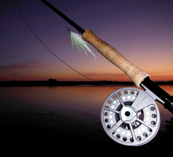 Fish360 From Spinning To Fly