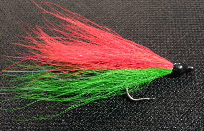 Fish360 Merry Christmas