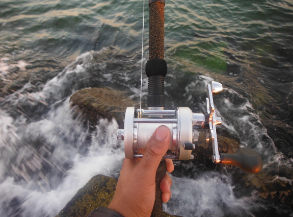 Fish360 Wicked Chunking