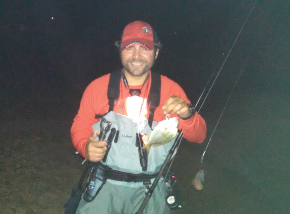 Fish360 Wicked Chunking