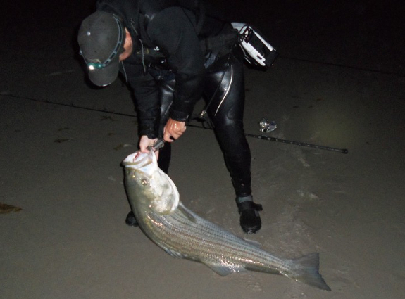 Fish360 Steve Gallant striped bass