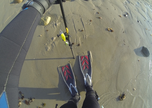 Skishing: Backwards Walk