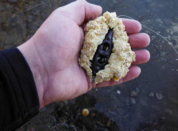 Carp Gripper Lead
