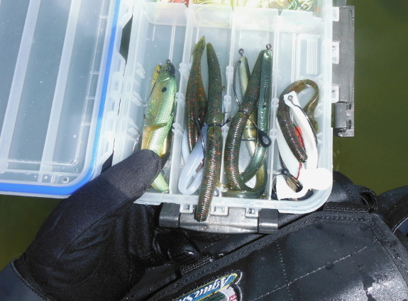 Fish360 MTK 2014