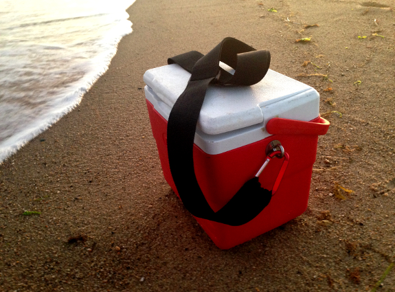 Fish360 DIY Chunking Cooler
