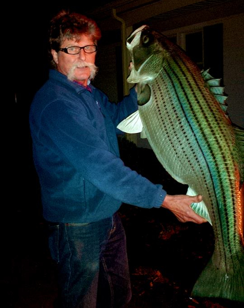 Fish360 Tony Stetzko