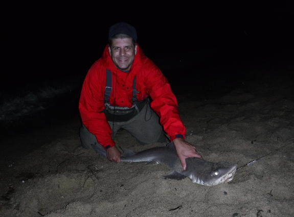 Fish360 Surf Sharking