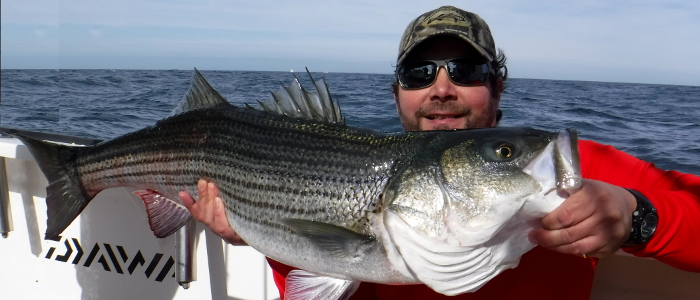 Fish360 Block Island 2019 Striped Bass