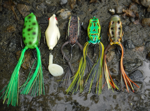 Fish360 Five Frog Challenge II