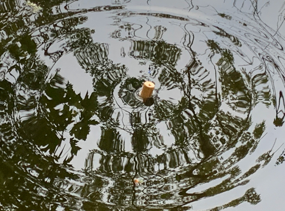Fish360 DIY Sliding Bobber